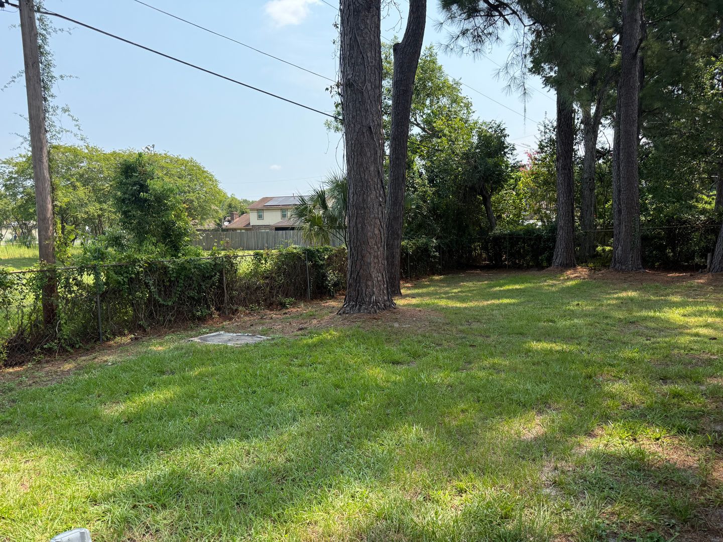 Now Available Updated 3 Bedrooms 2 Baths – photo 3