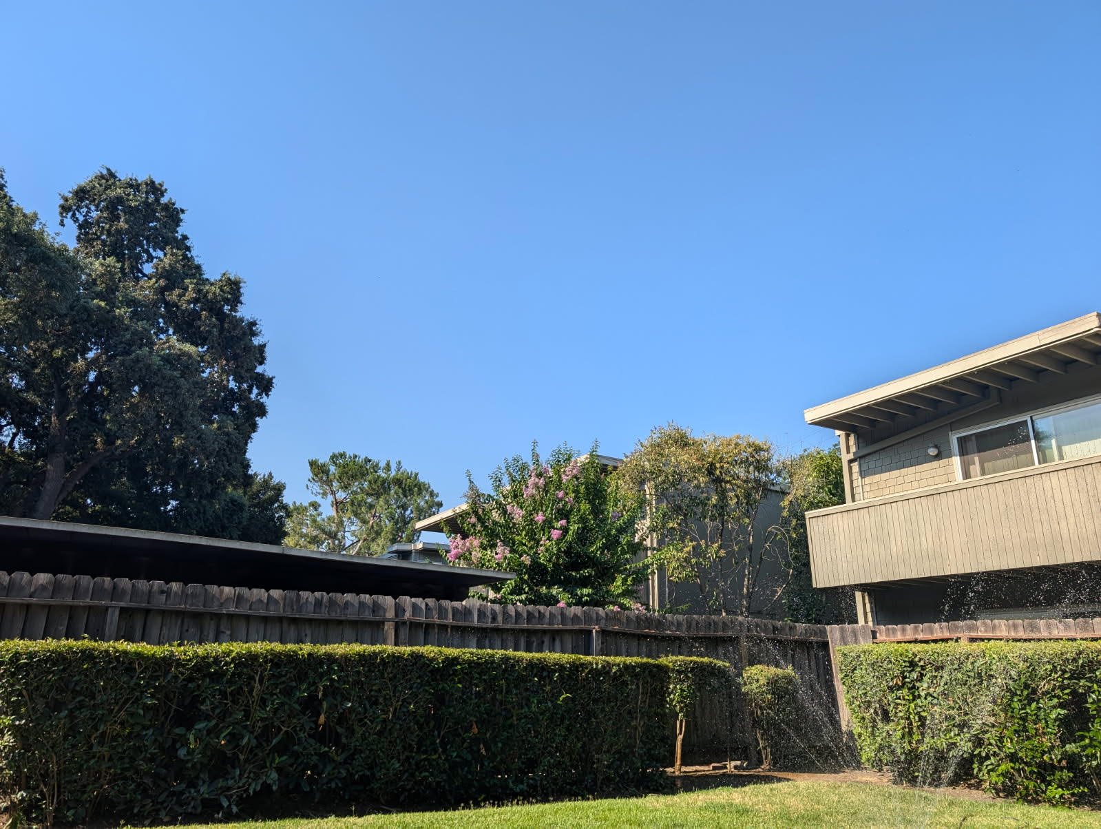 5 Mile House – photo 5