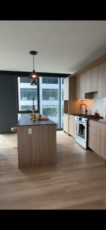 214 N Racine – photo 1