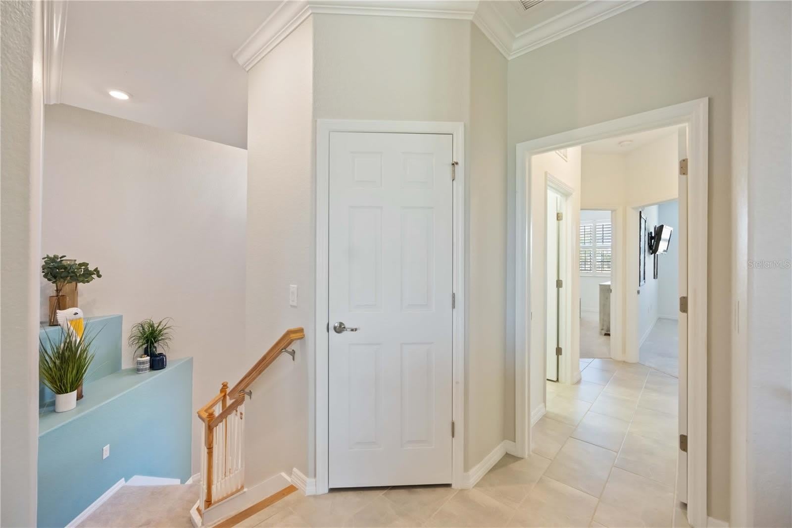 10817 TARFLOWER Drive – photo 4
