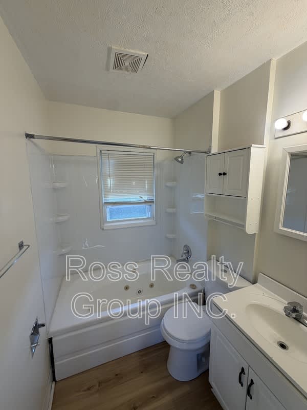 1850 giant – photo 3