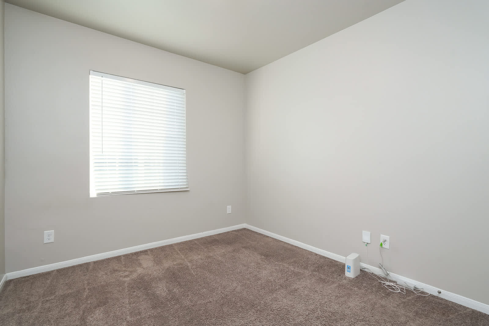 3915 Ivy Path – photo 4