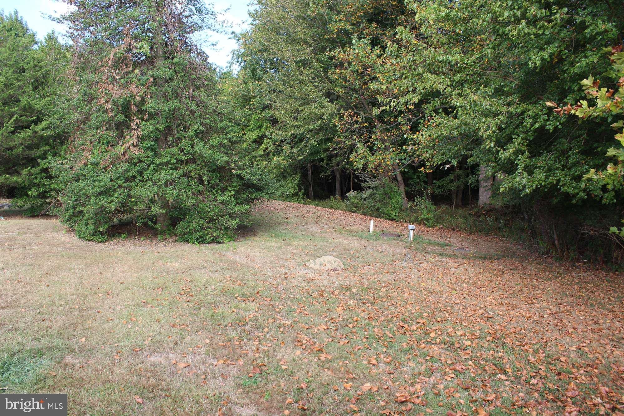 332 STOKES Road – photo 5