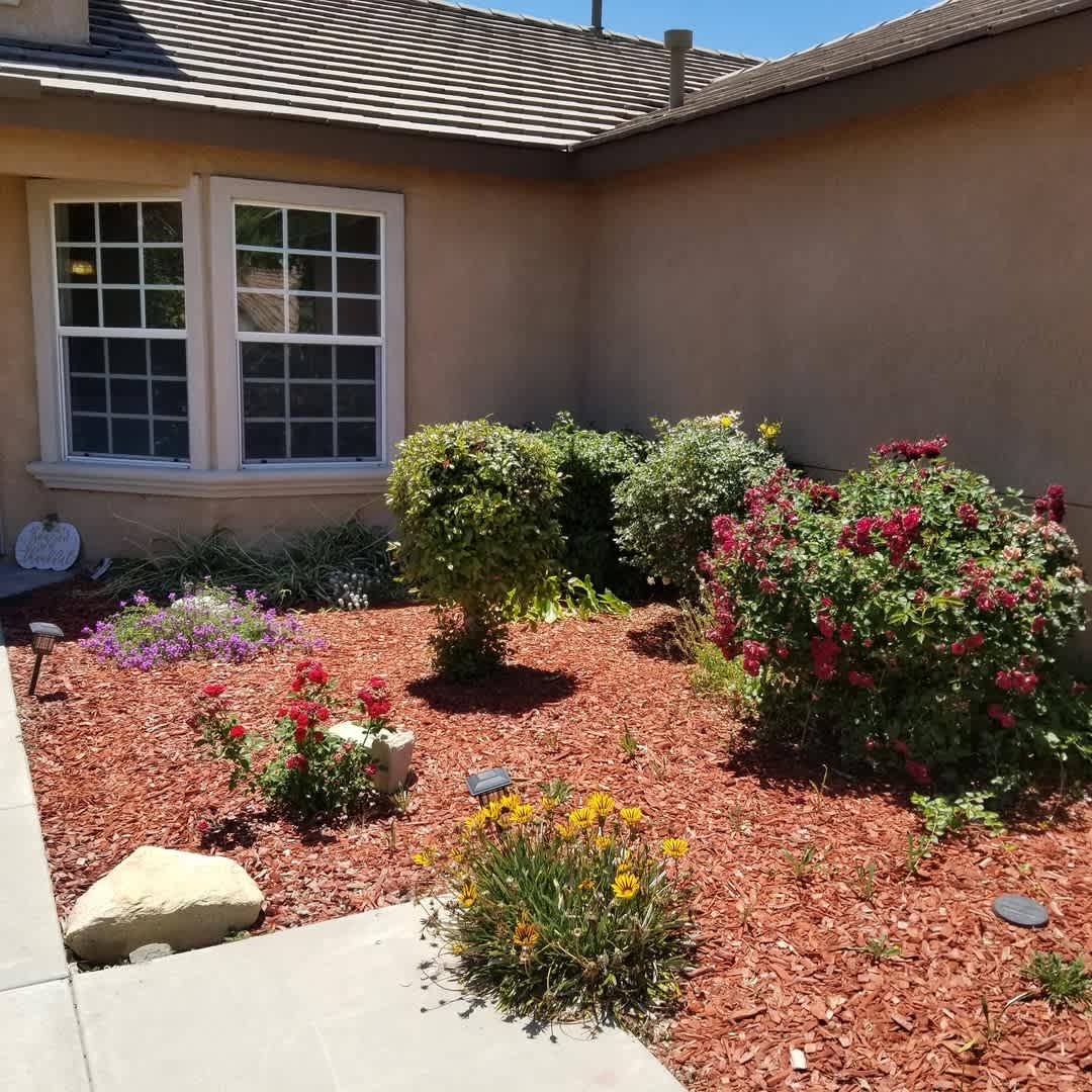 Coming Soon, Beautiful 4 bedroom home for rent – photo 4