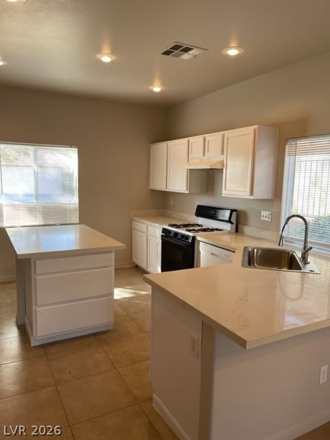 10516 Allthorn Avenue – photo 3