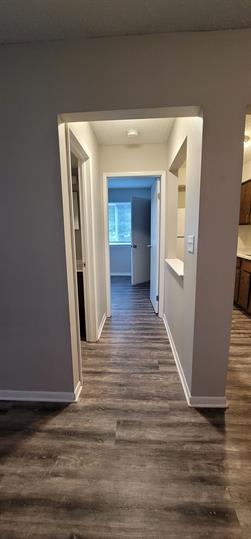 1015 Cato Lane – photo 3