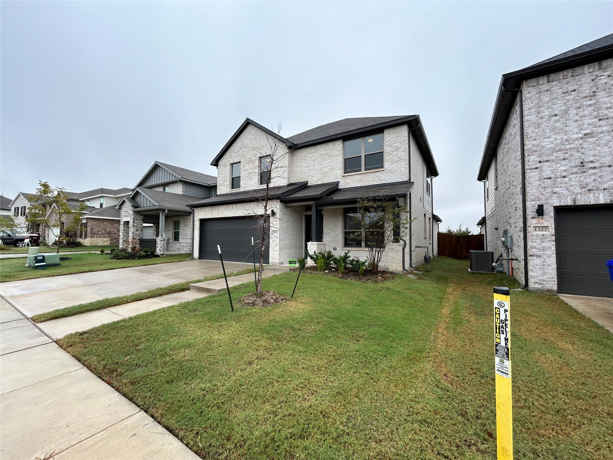 1323 Great Sand Dune Street – photo 1