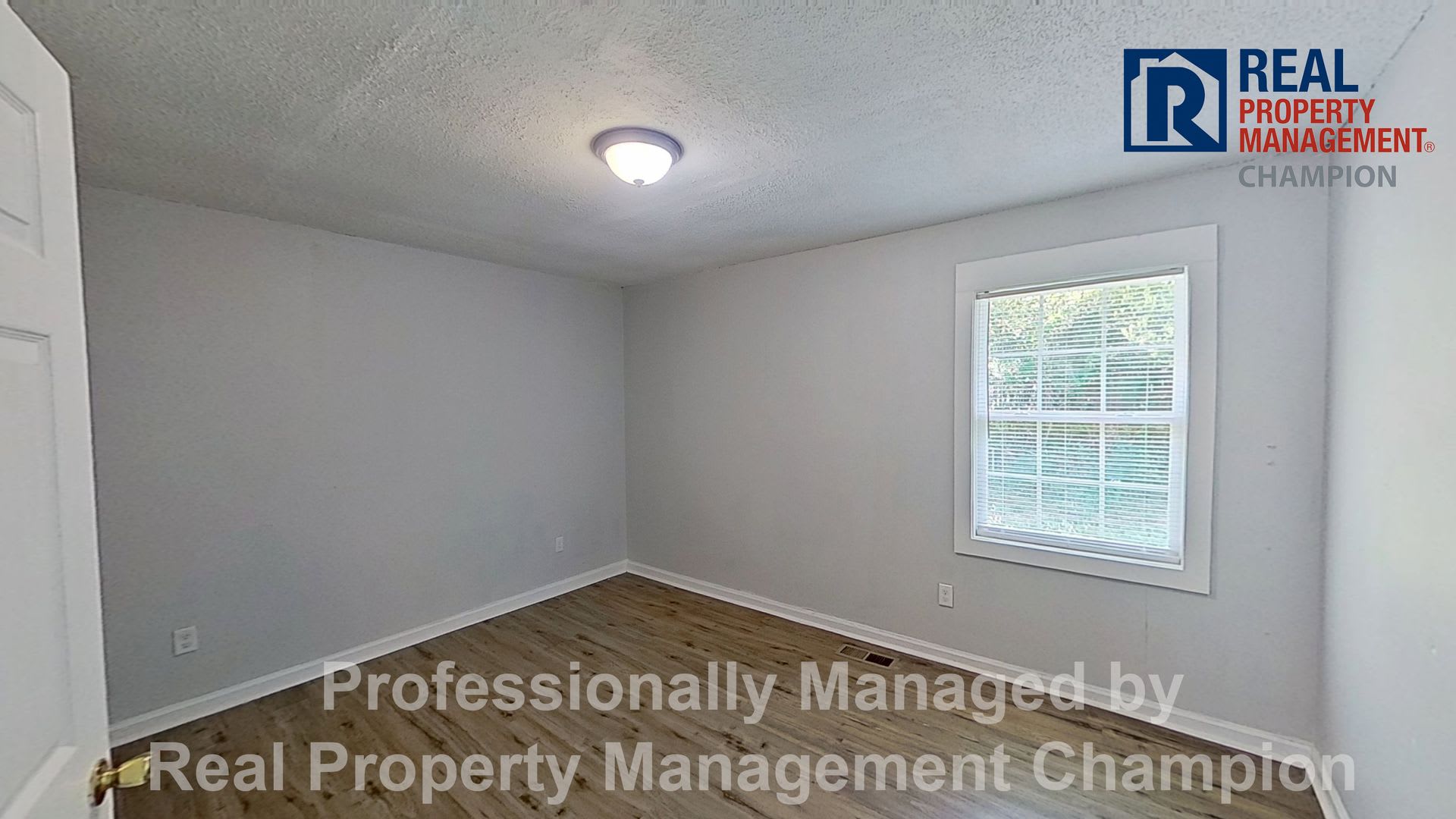 Recently Renovated 3 BD/1 BA Home Next to Castle Street Art District – photo 4