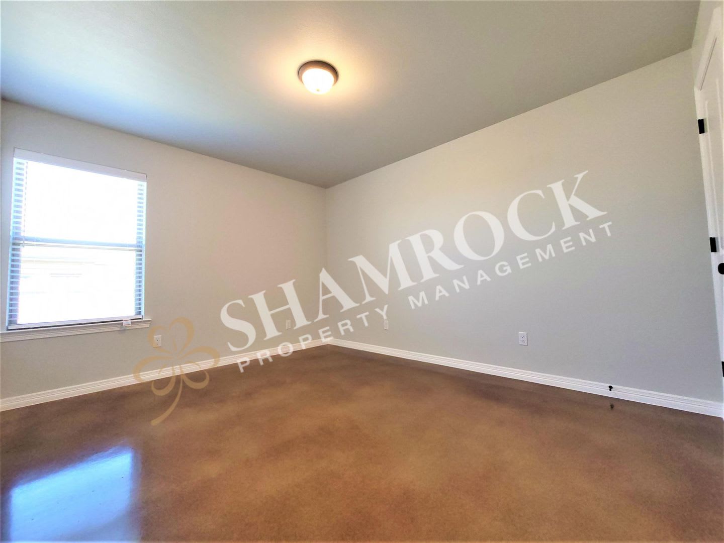 1002 Sparrow Cv – photo 4