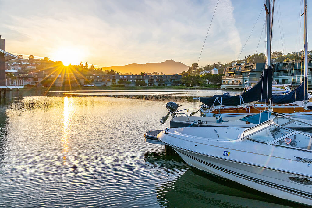 The Cove at Tiburon – photo 3