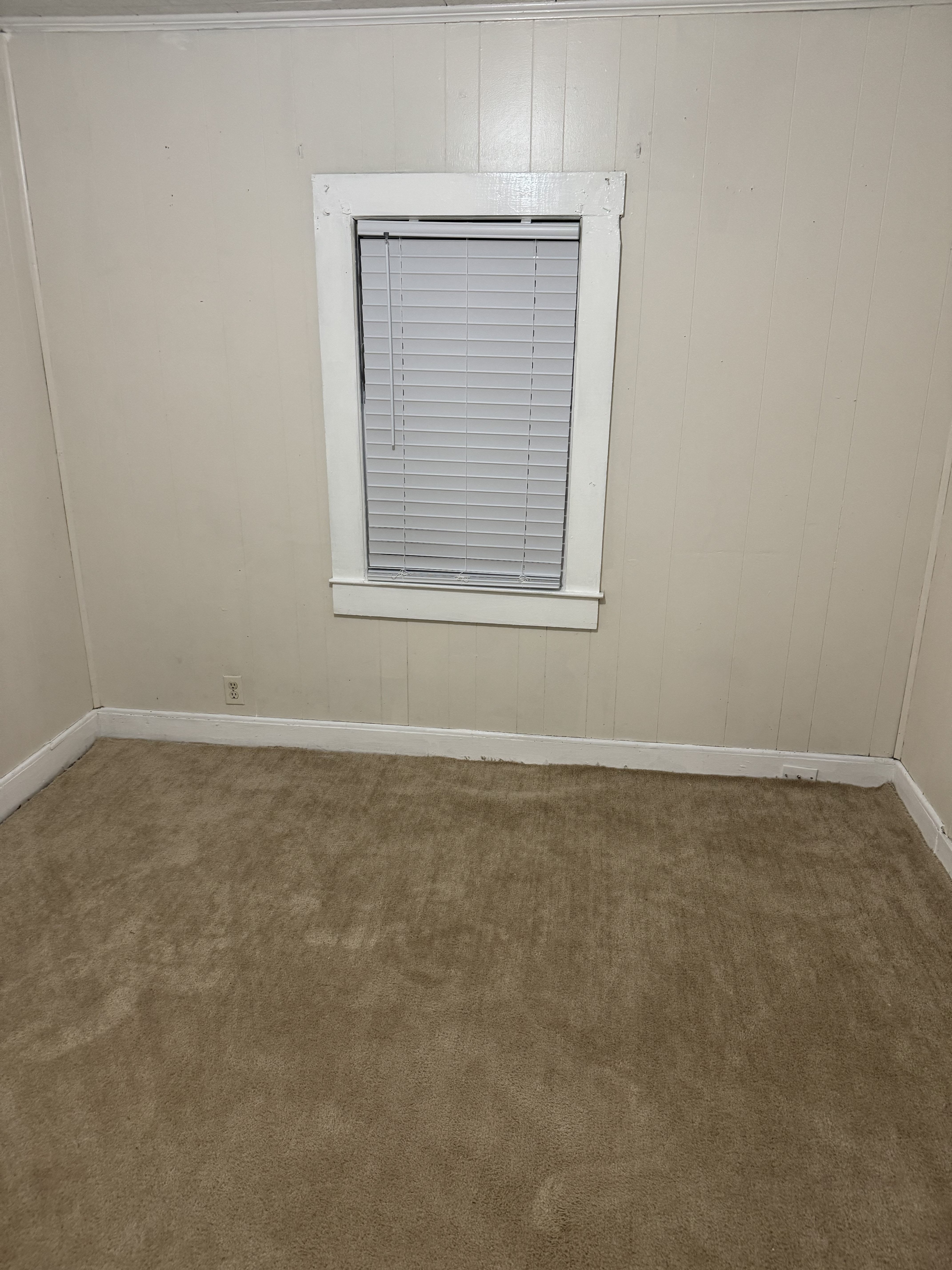110 Duke St – photo 5
