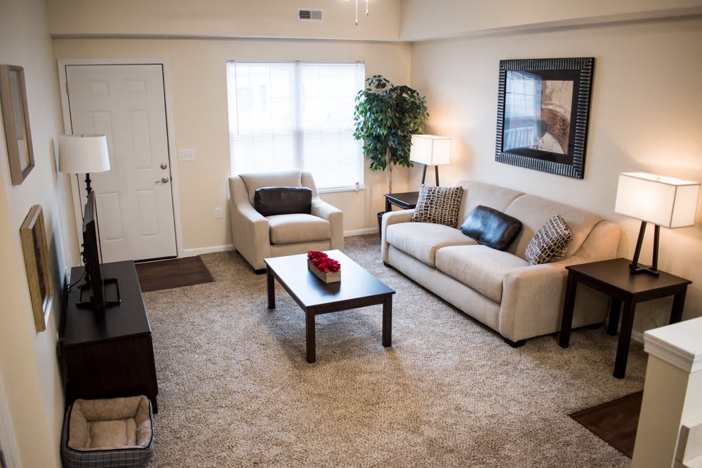 184 Reid Terrace 101Akronoh – photo 3
