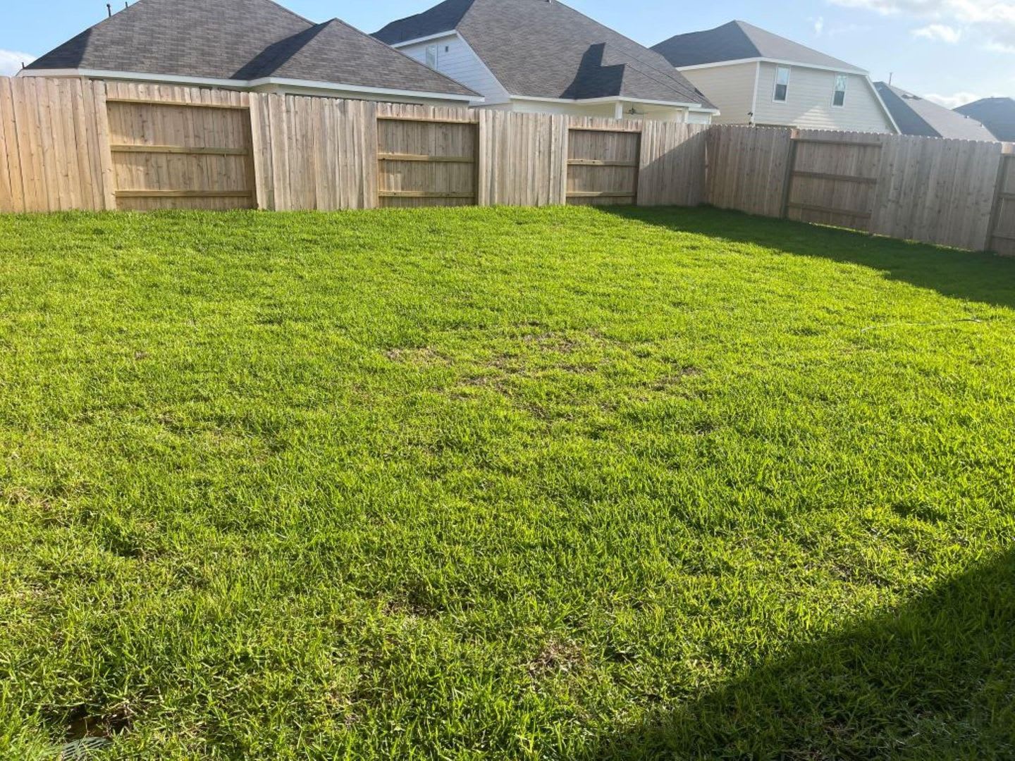 22466 Birchfield Grove Ln – photo 3