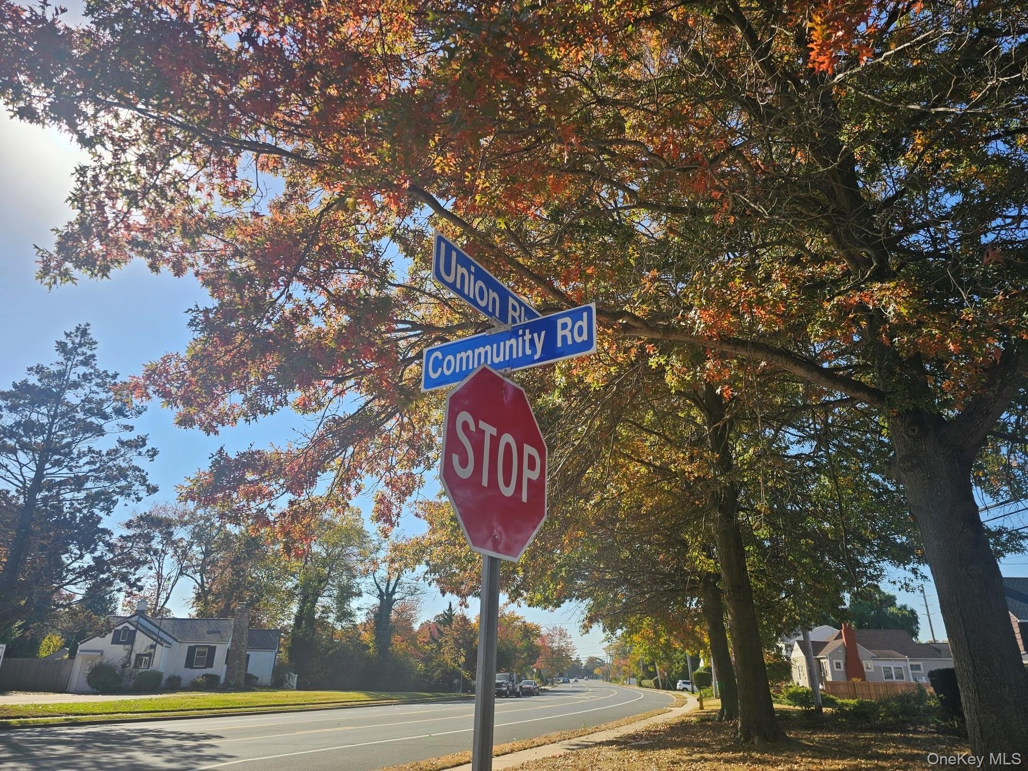 87 Community Road – photo 2