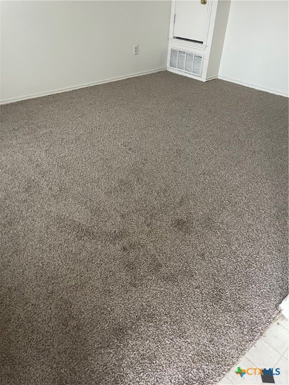 4403 Mattie Drive – photo 3