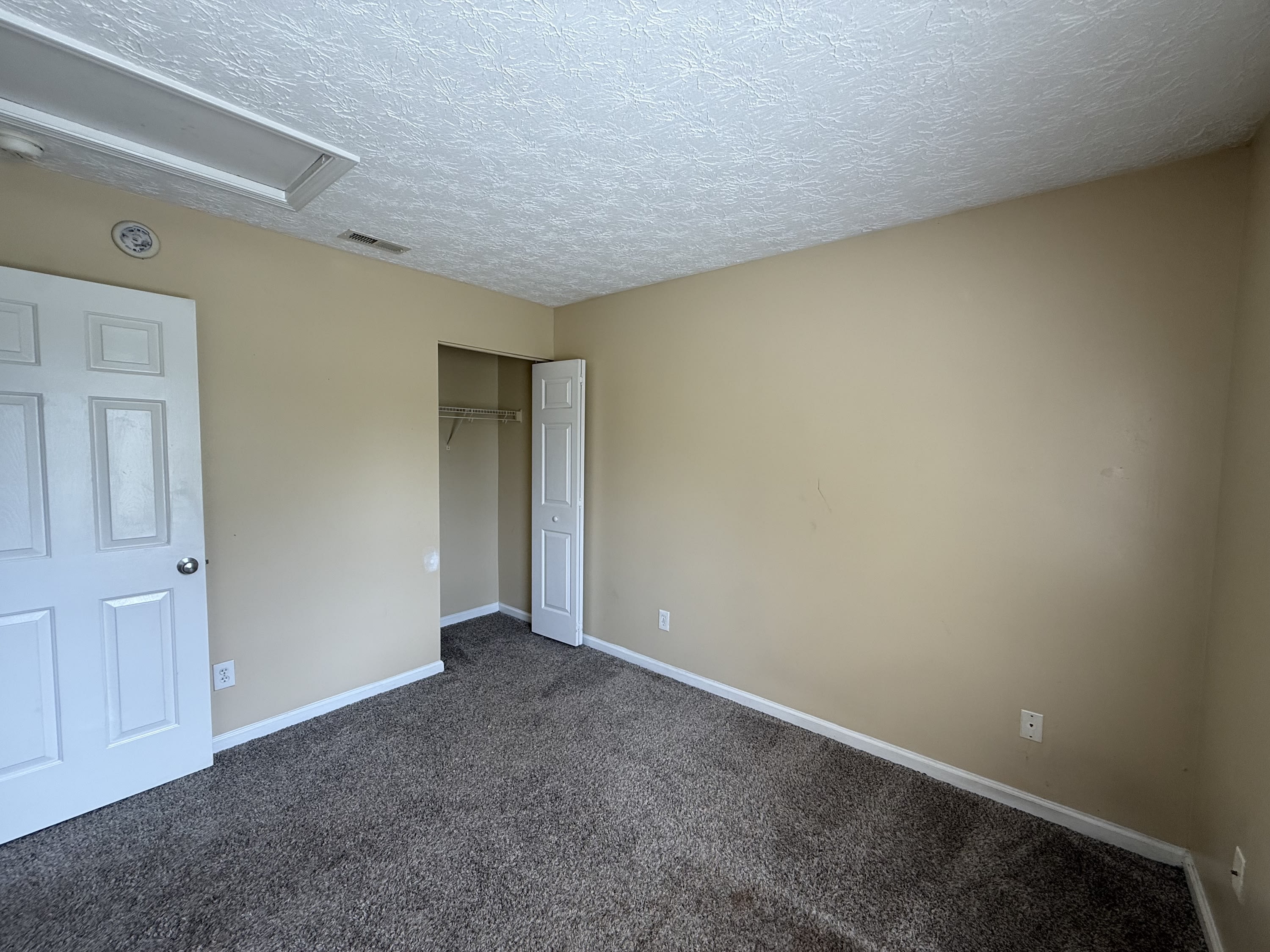 509 Cove Hollow Drive – photo 5