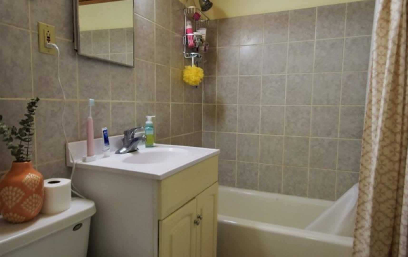 Gorgeous Brookline Apt w Heat Included and Laundry in Unit! Near BU Campus! – photo 1