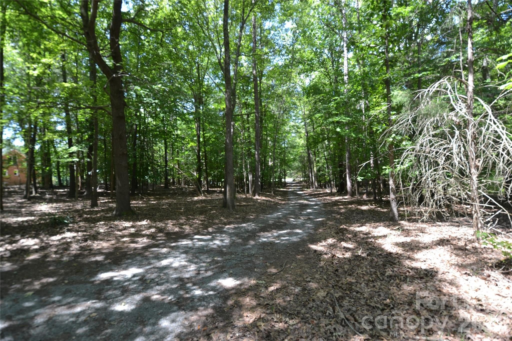 7015 Spruce Pine Trail – photo 4