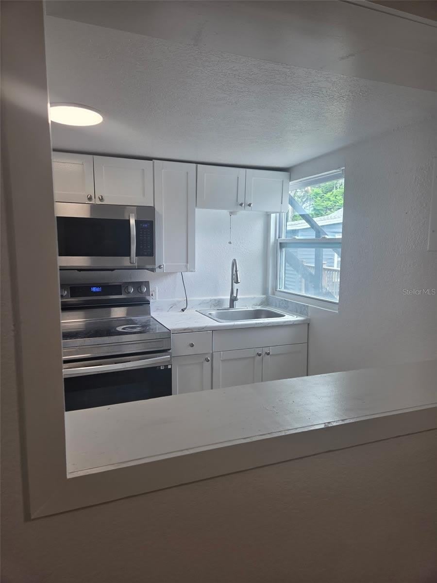 5930 ALLIGATOR LAKE Shore W – photo 4