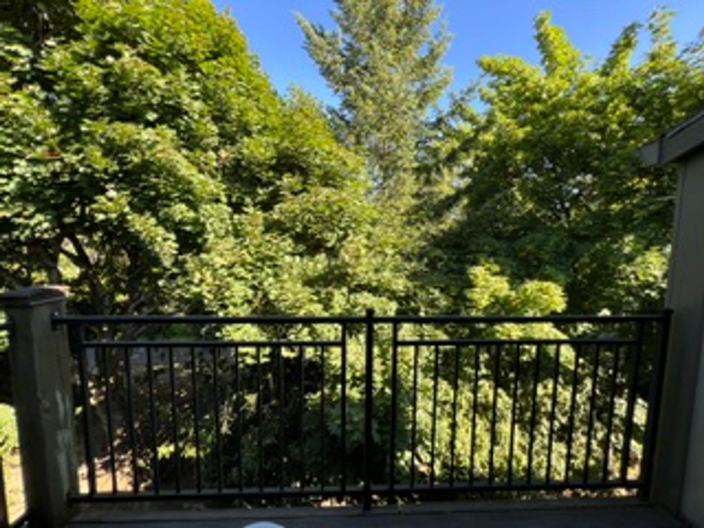 Downing Hills – photo 1