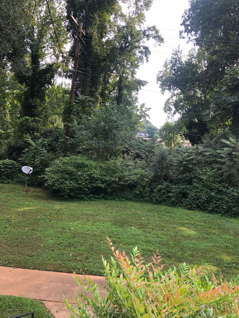 Greenville 2BD/1BA, 896SF – photo 2