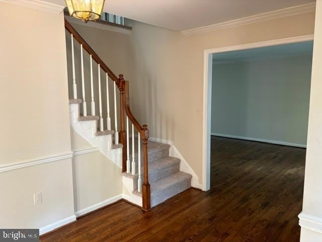 12617 FALCONBRIDGE Drive – photo 4