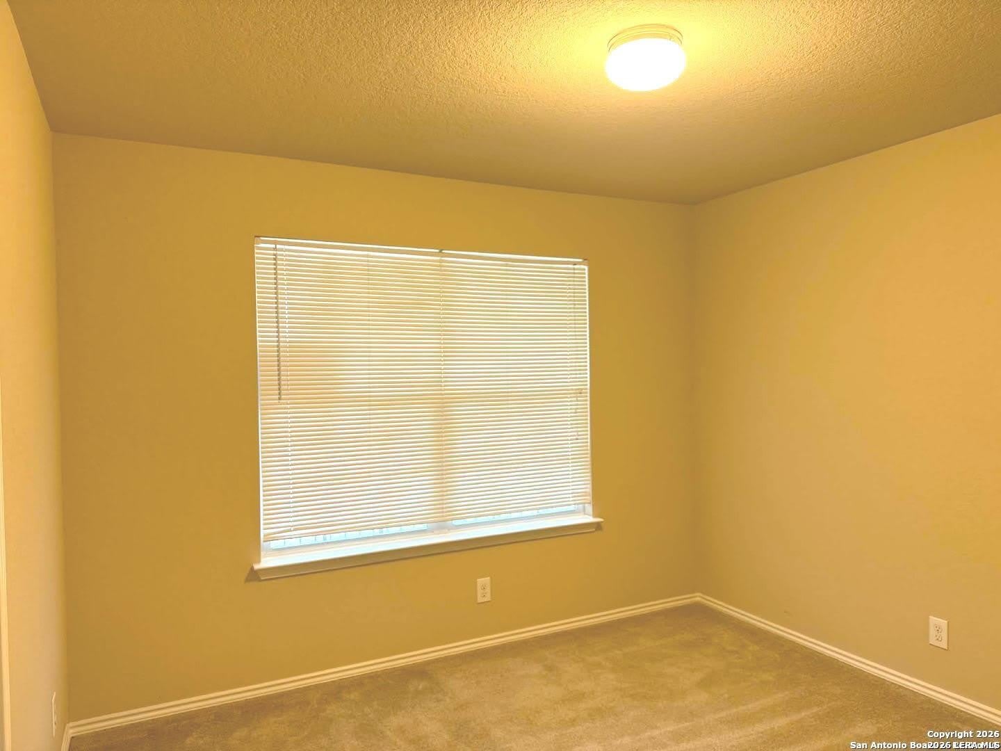 11326 Estufa Canyon – photo 4