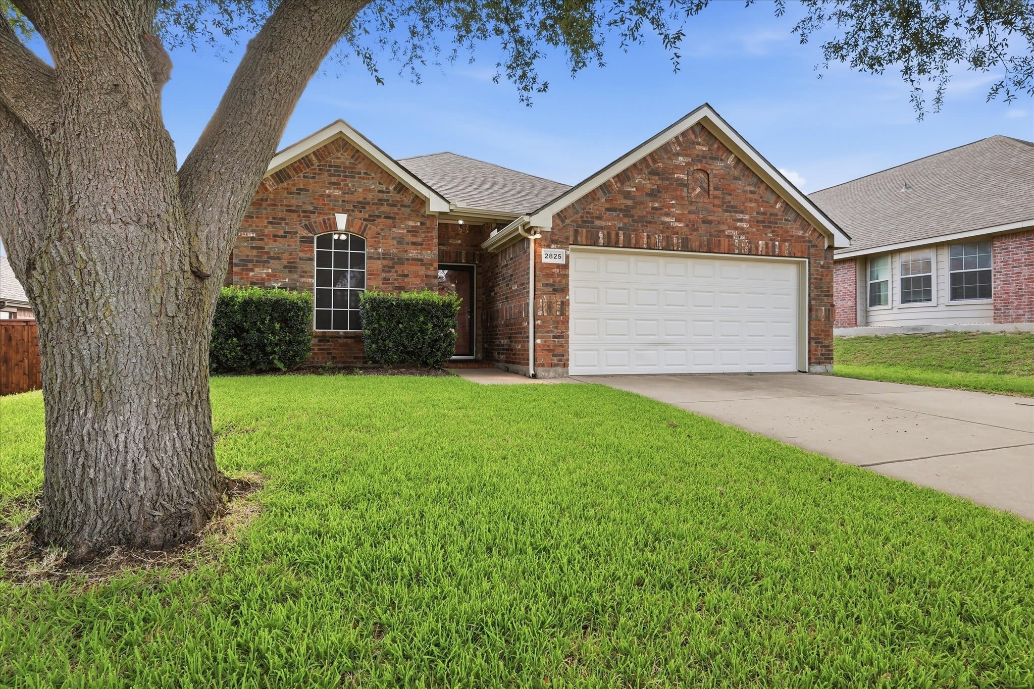2825 Saddlebred Trail – photo 4