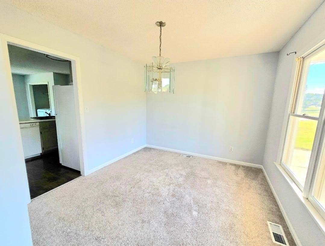 250 Pope Lake Road – photo 4