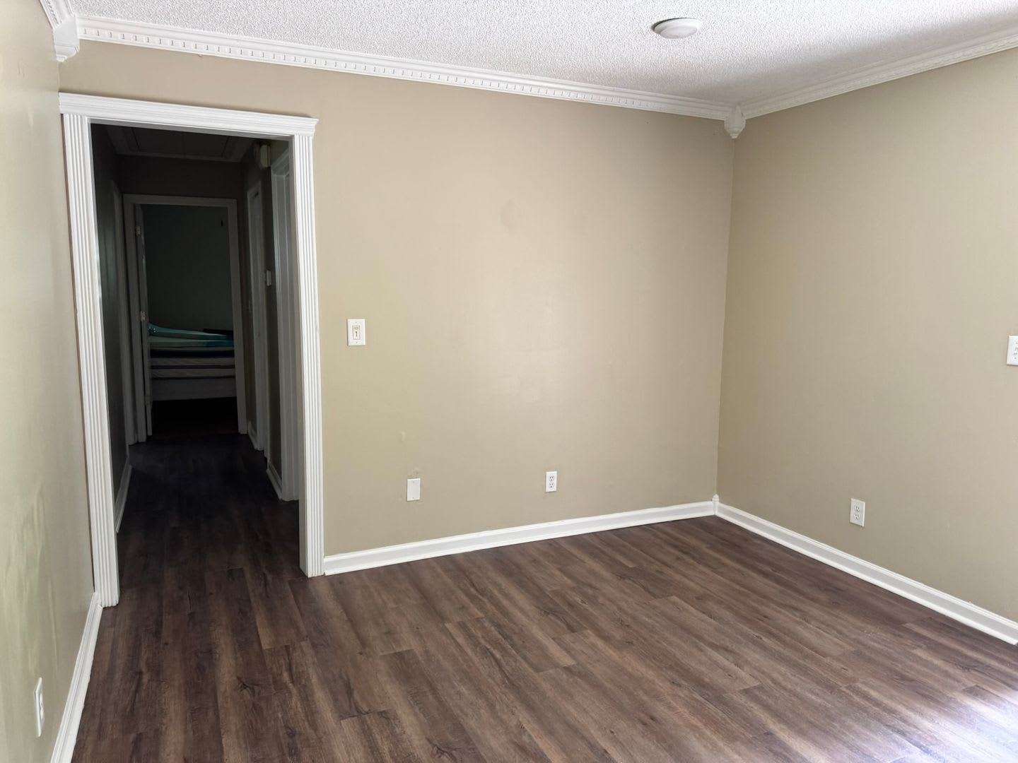 121 Herty Dr. – photo 4