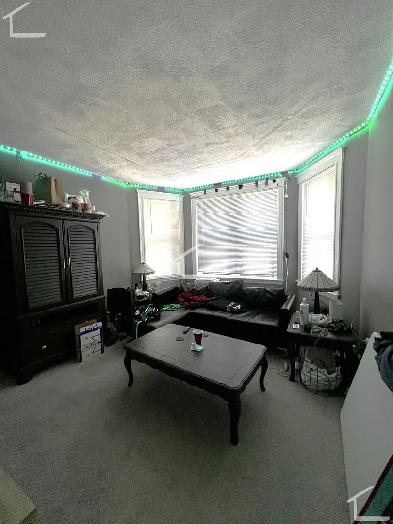 431 Park Dr #3D Boston MA 02215 – photo 5