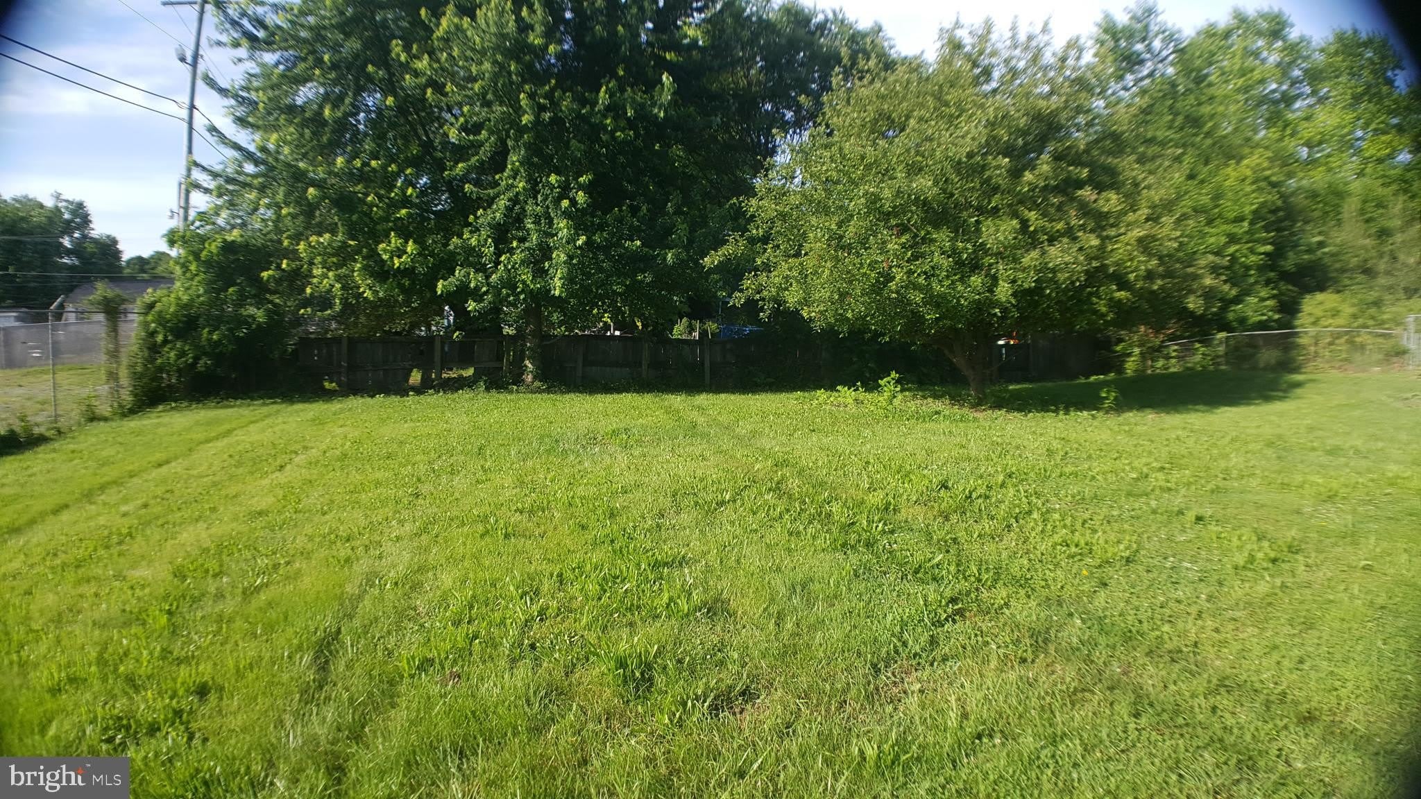 200 PEACH TREE Drive – photo 4