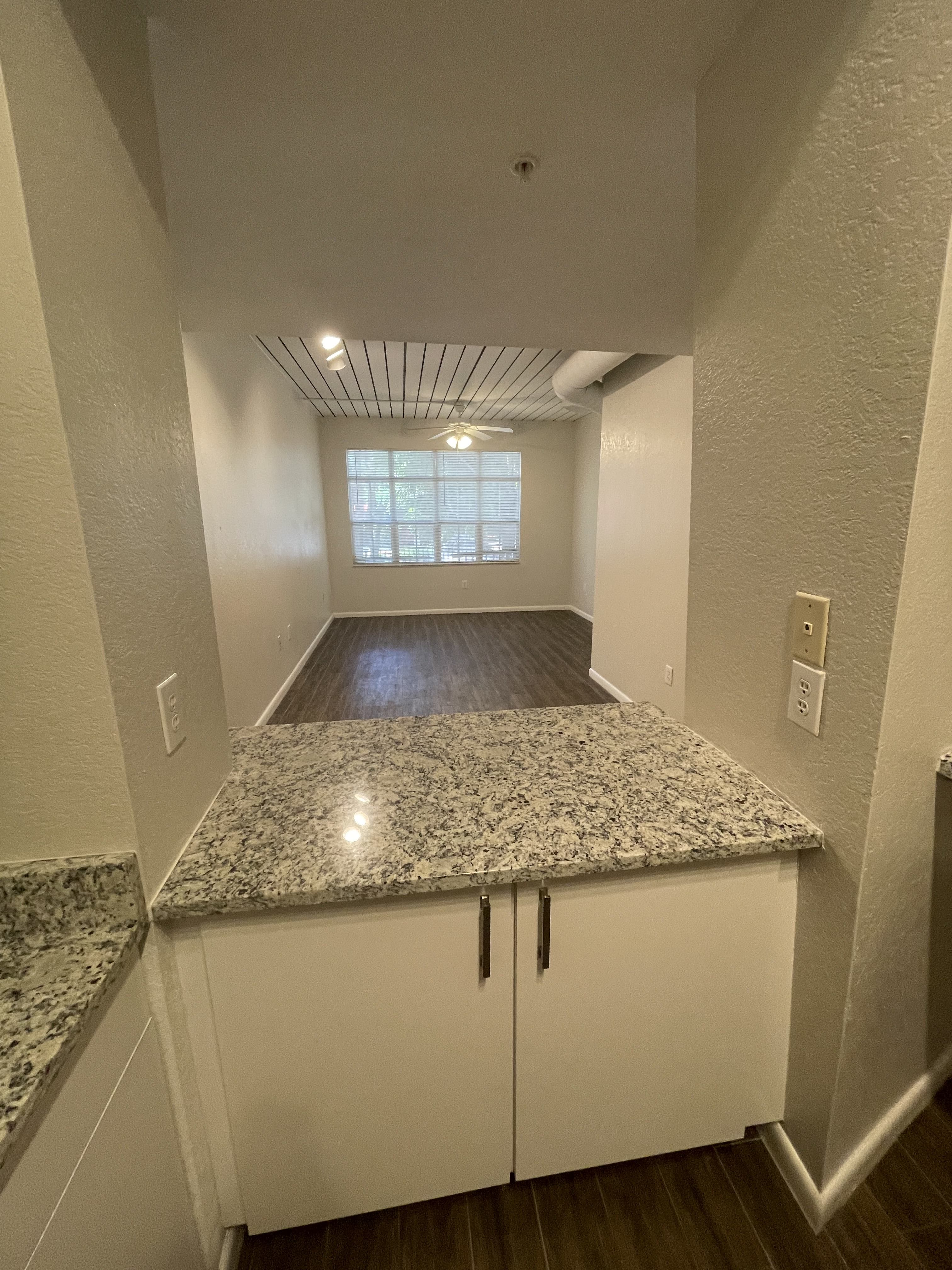 2411 W Horatio St – photo 3