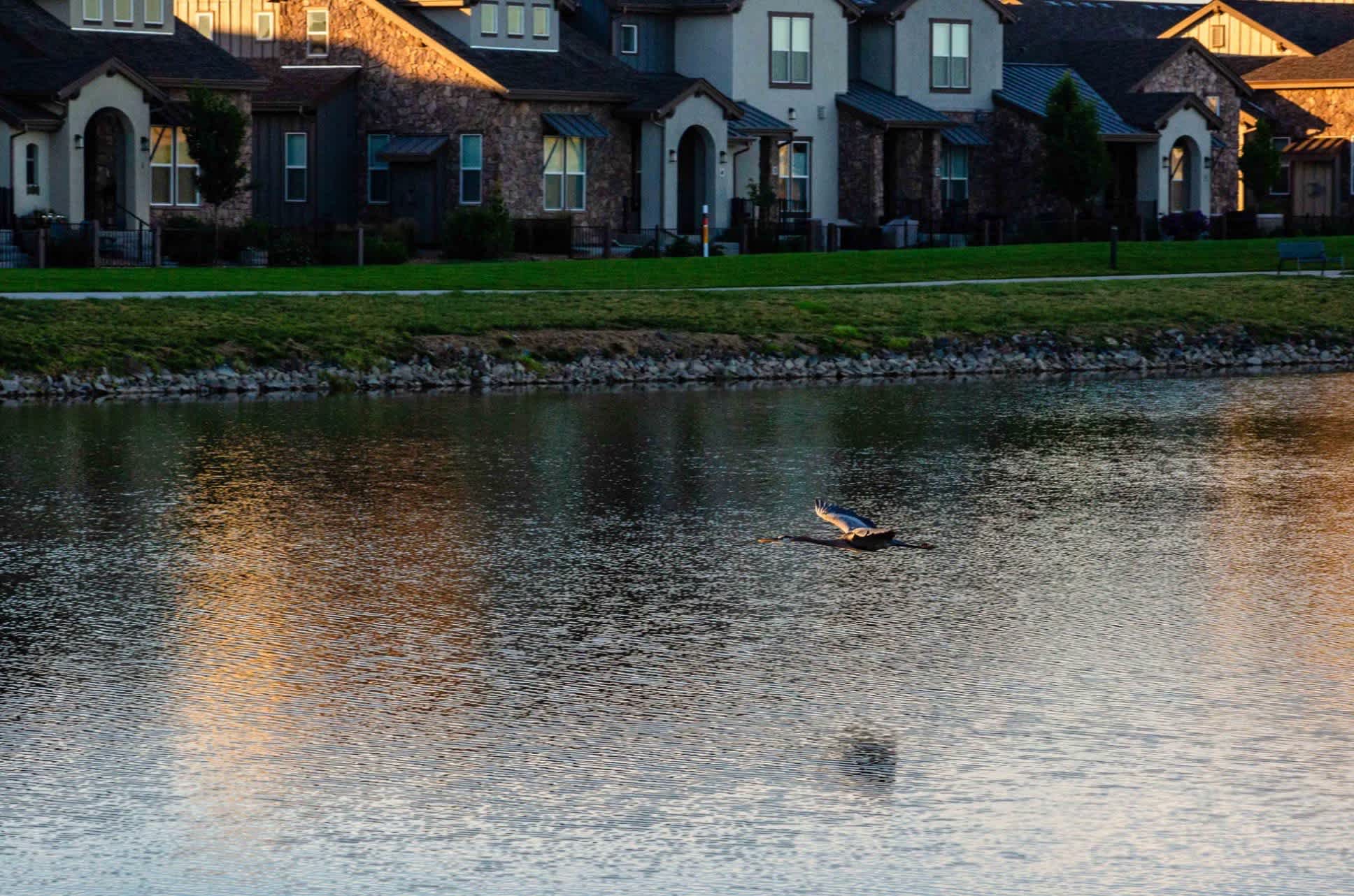 6236 Vernazza Way – photo 3
