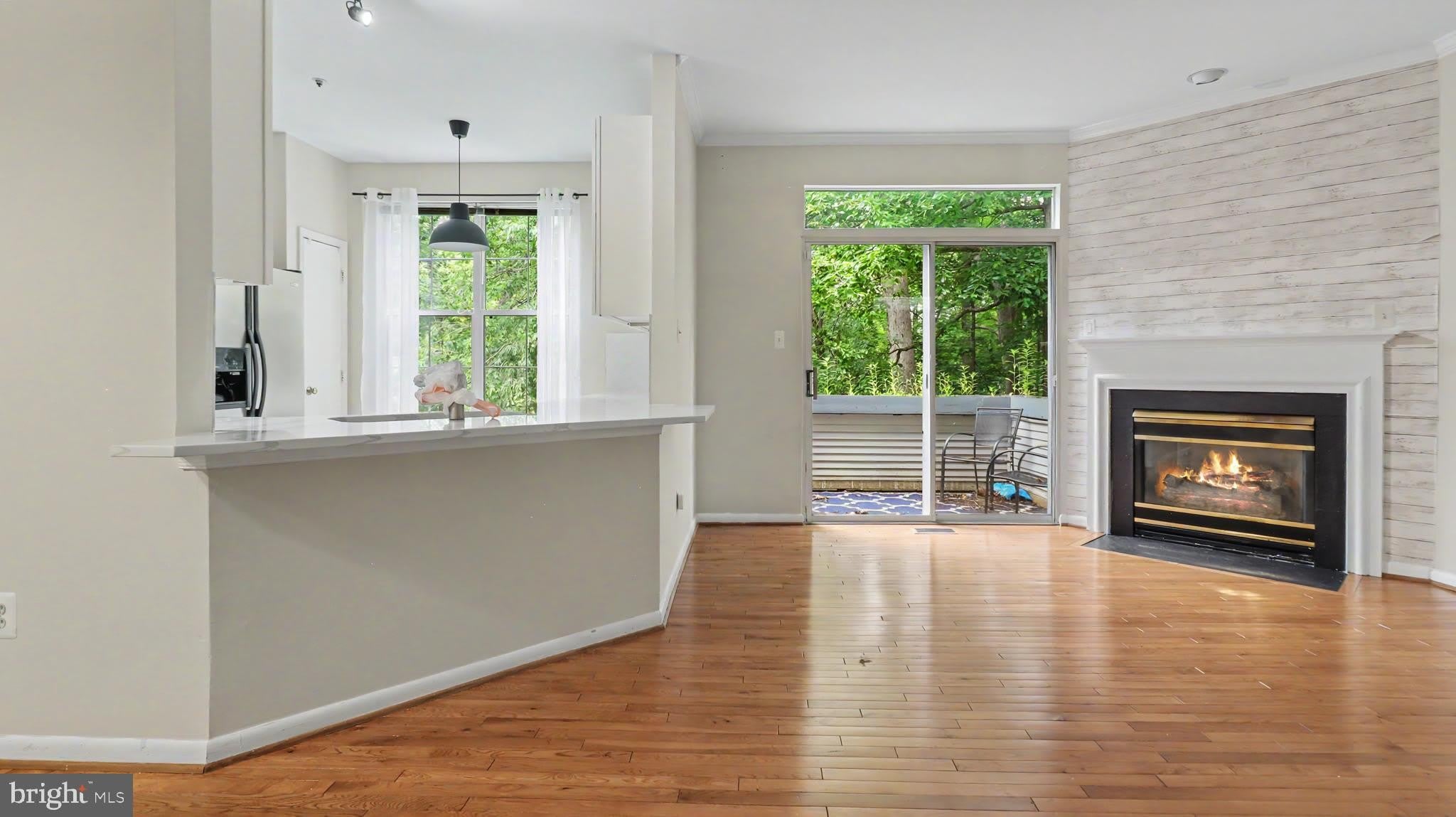 10225 COVE LEDGE Court – photo 4