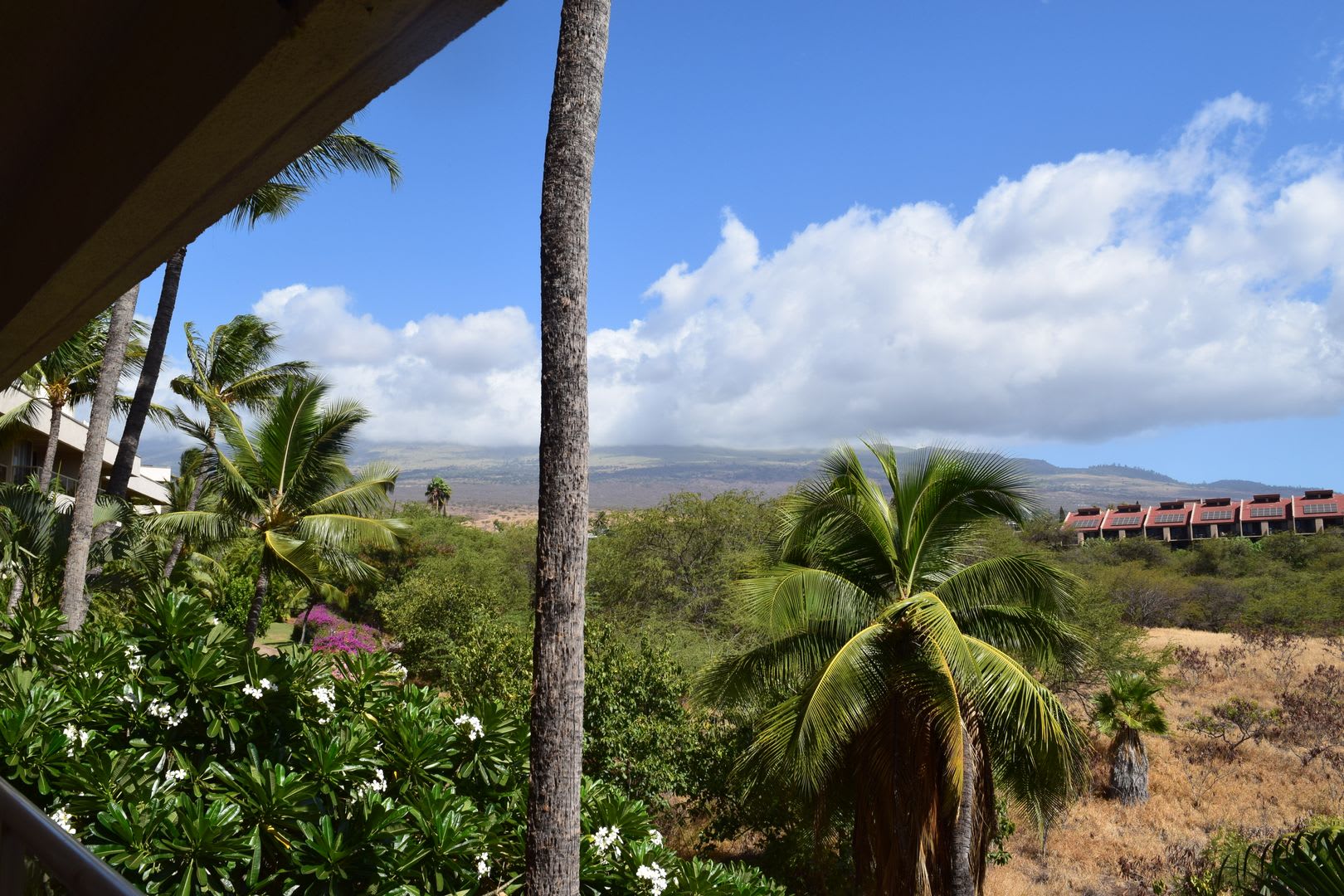 Maui Banyan 1 bd 2 bath furnished unit available October 1, 2026 for 1 yr. term. – photo 3