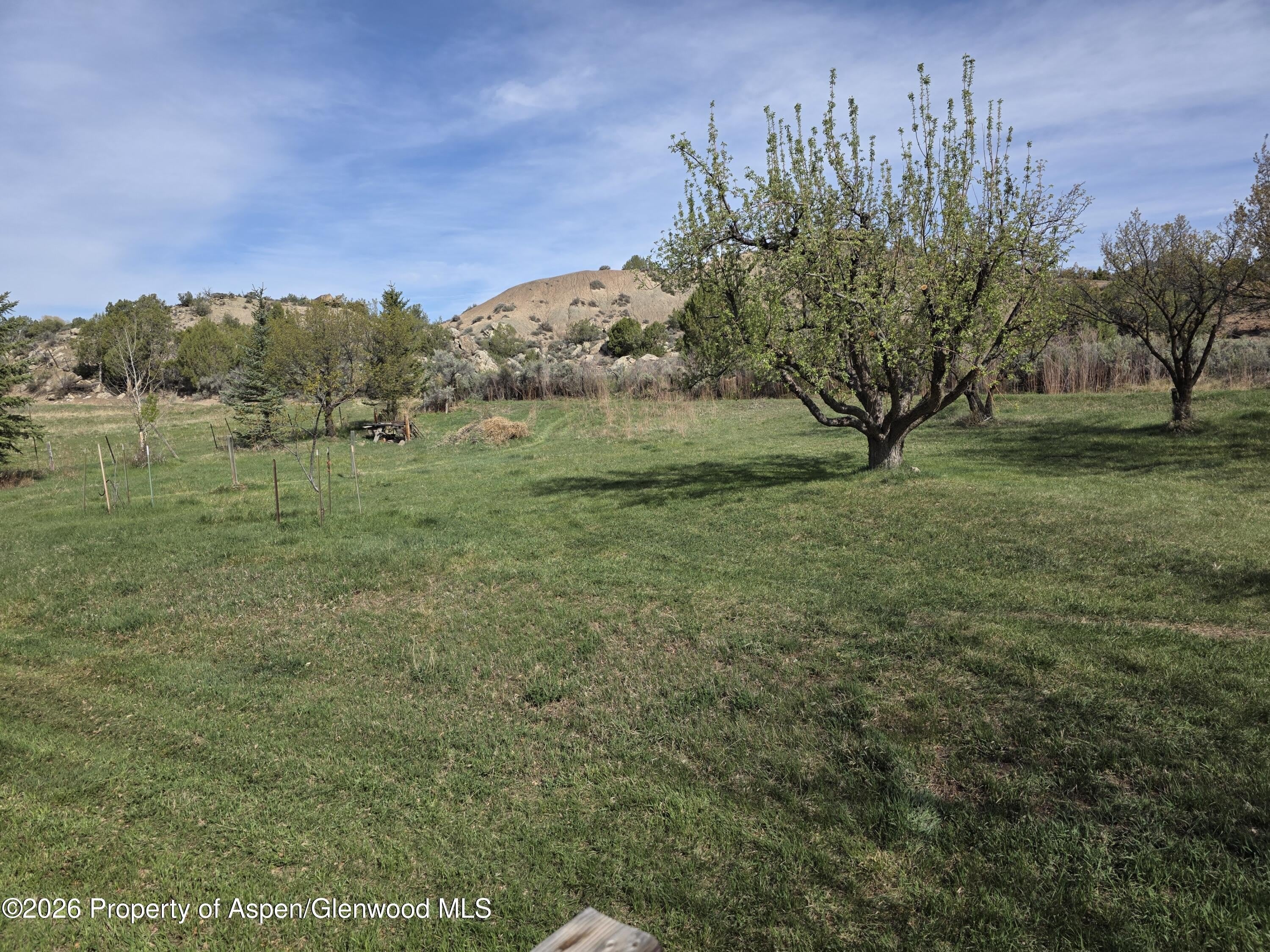 3465 County Road 214 – photo 2