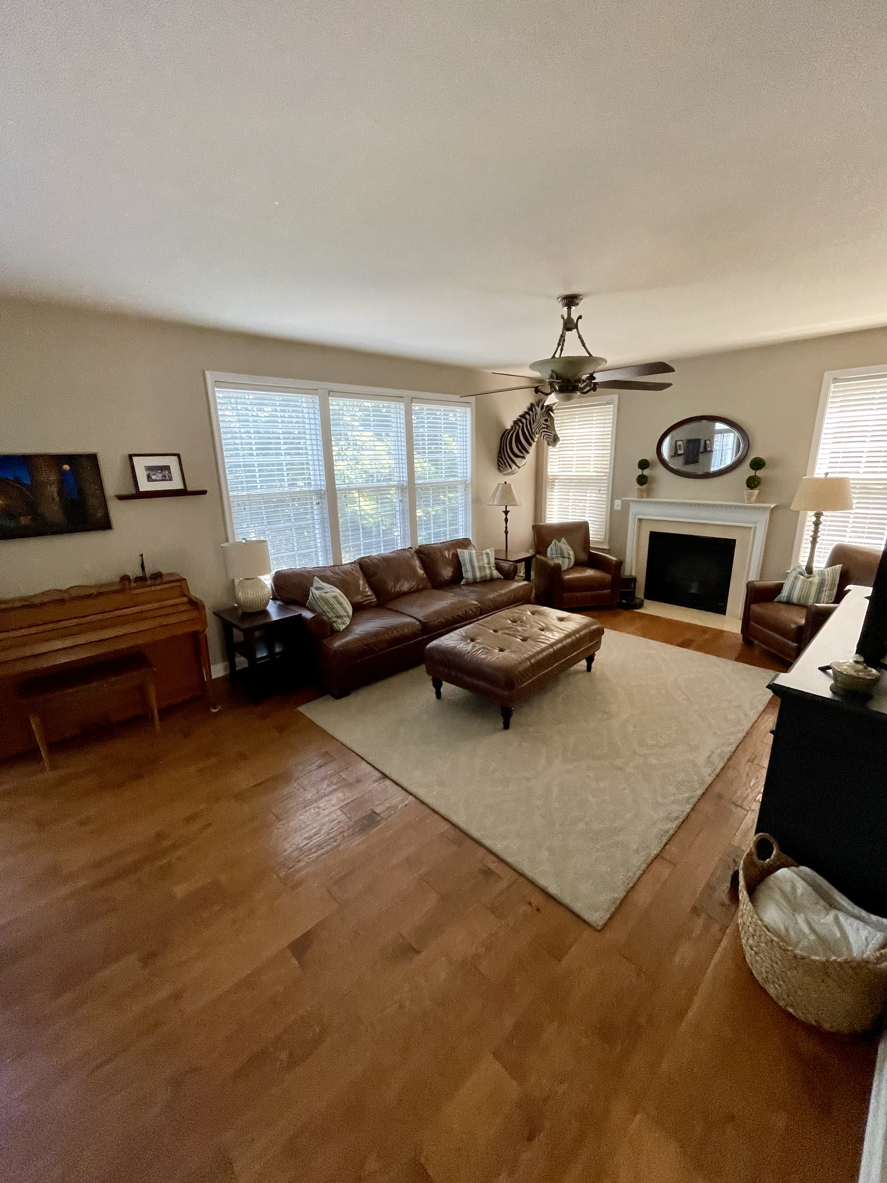 4207 Talon Dr – photo 4