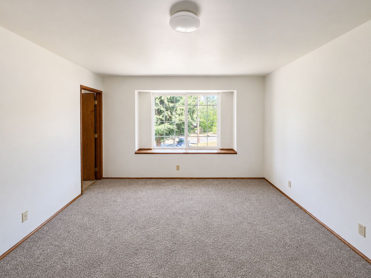 *Available Now* Bright and sunny 3 bed with office space and large yard, pets allowed! – photo 3