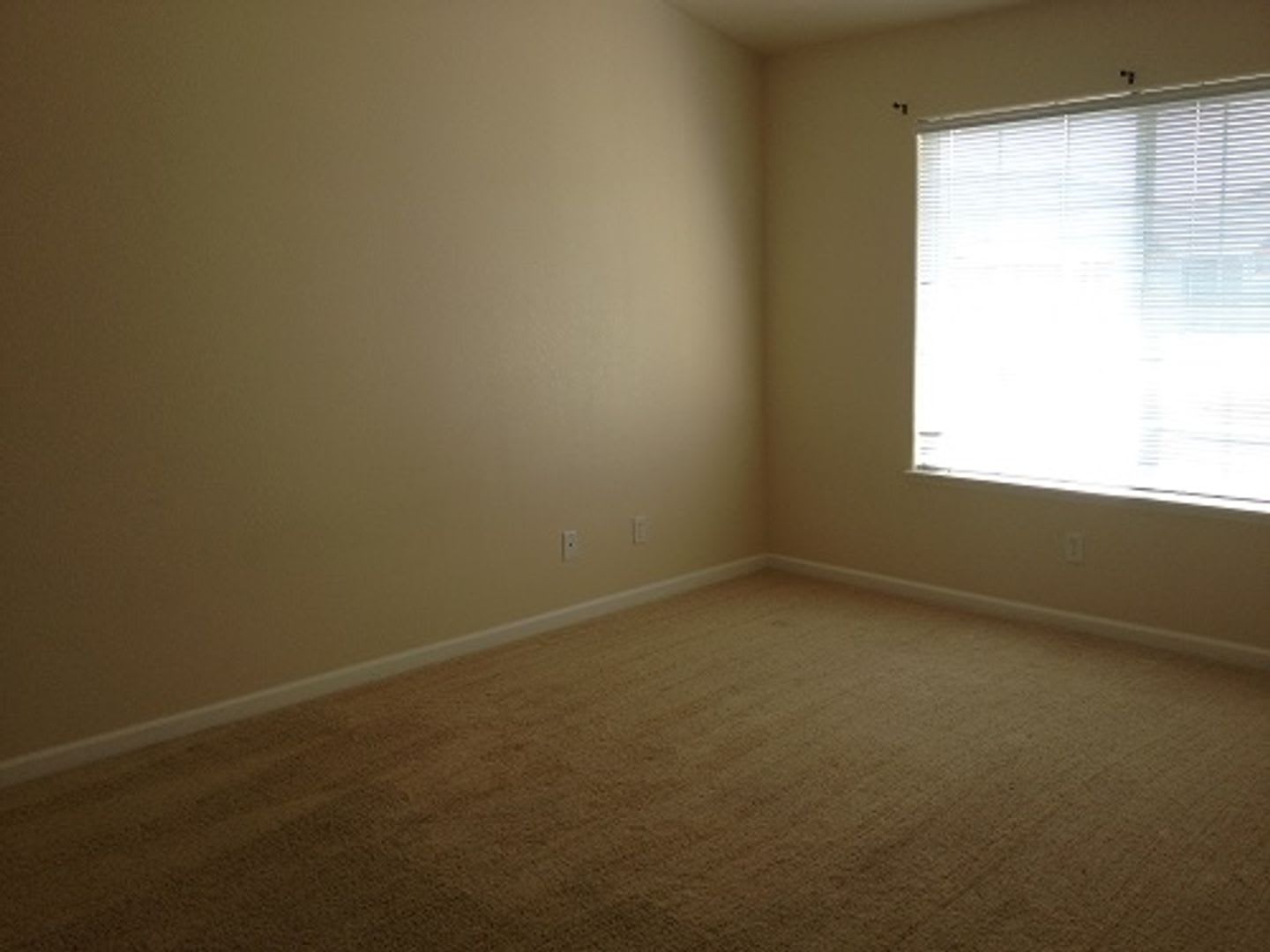 Easy Living Near It All – 2 Bed, 2 Bath Windsor Condo – photo 5