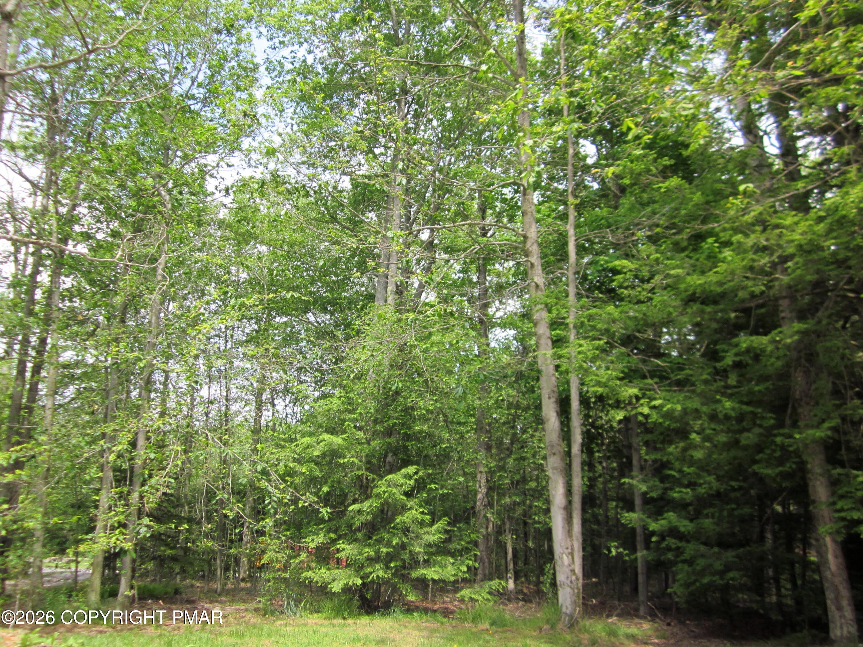 1256 Blackberry Road – photo 4