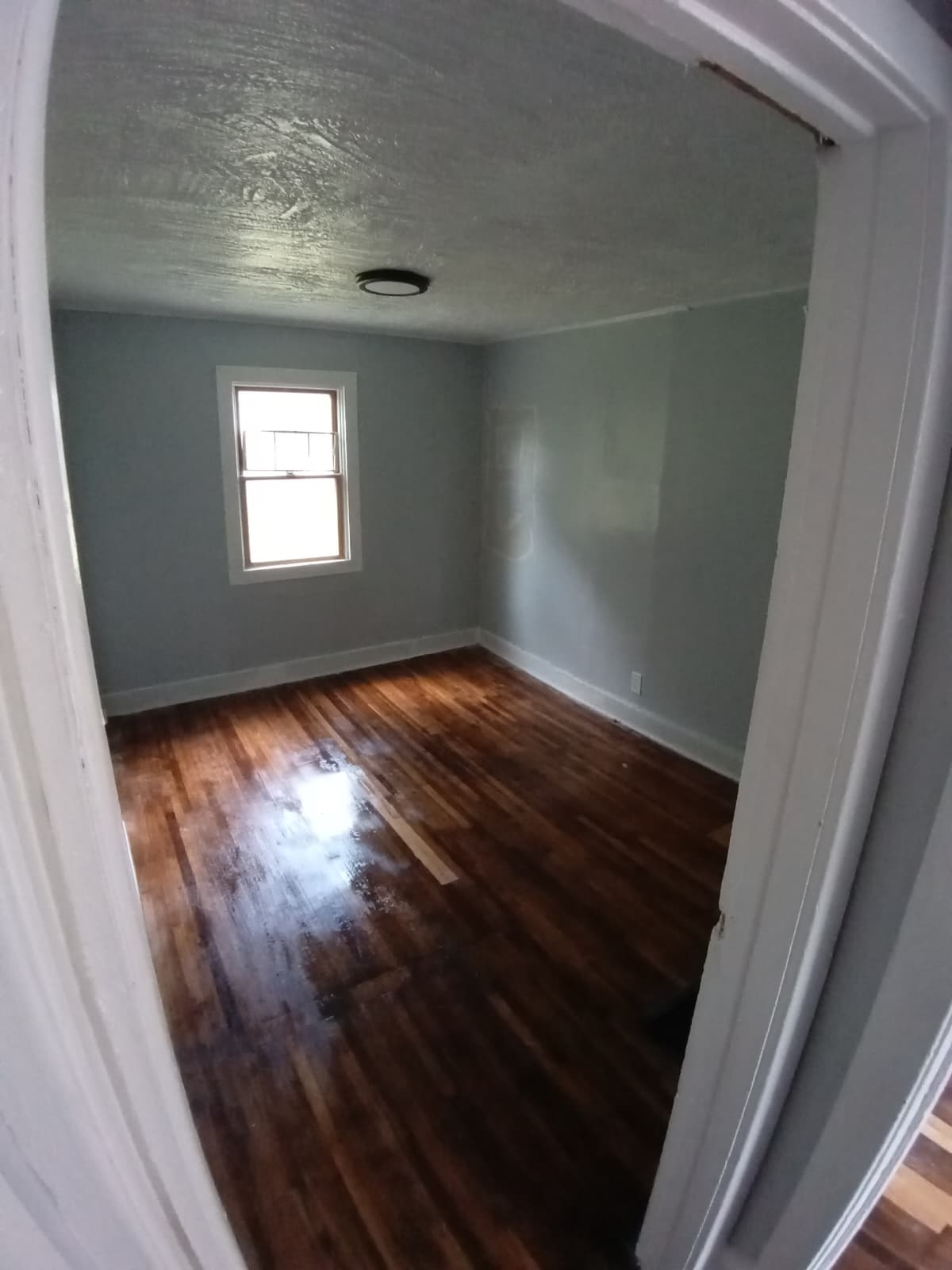 65 Saratoga Avenue – photo 4