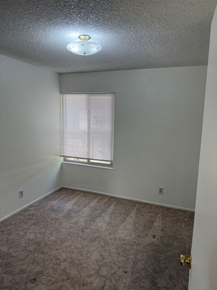 27830 Del Norte Court – photo 5