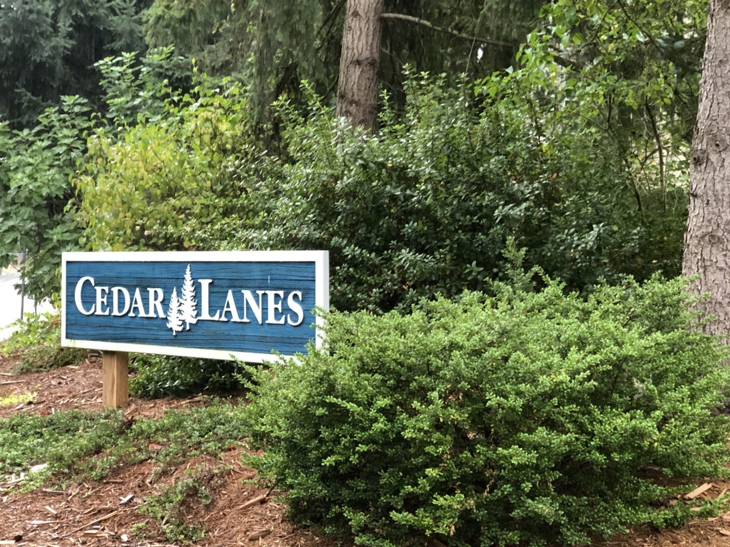 Spacious 4BR 2.75BA Tri-level home in quiet Cedar Lane Estates – photo 3