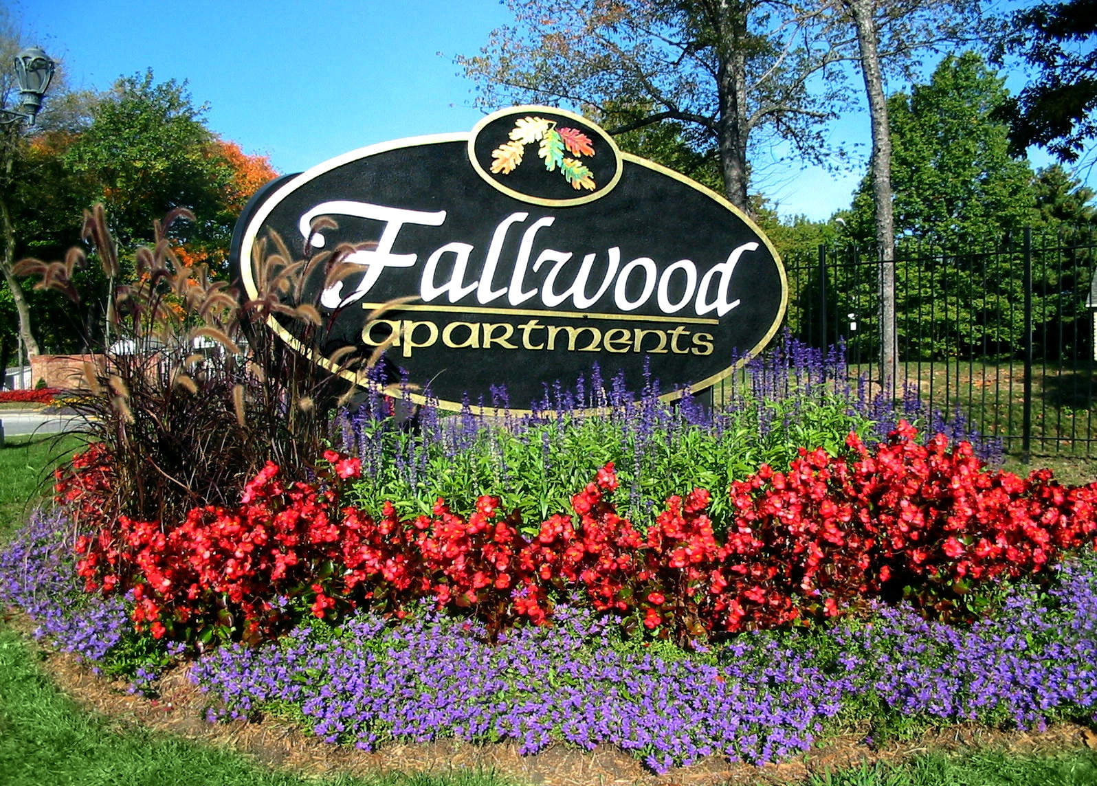 Fallwood – photo 2