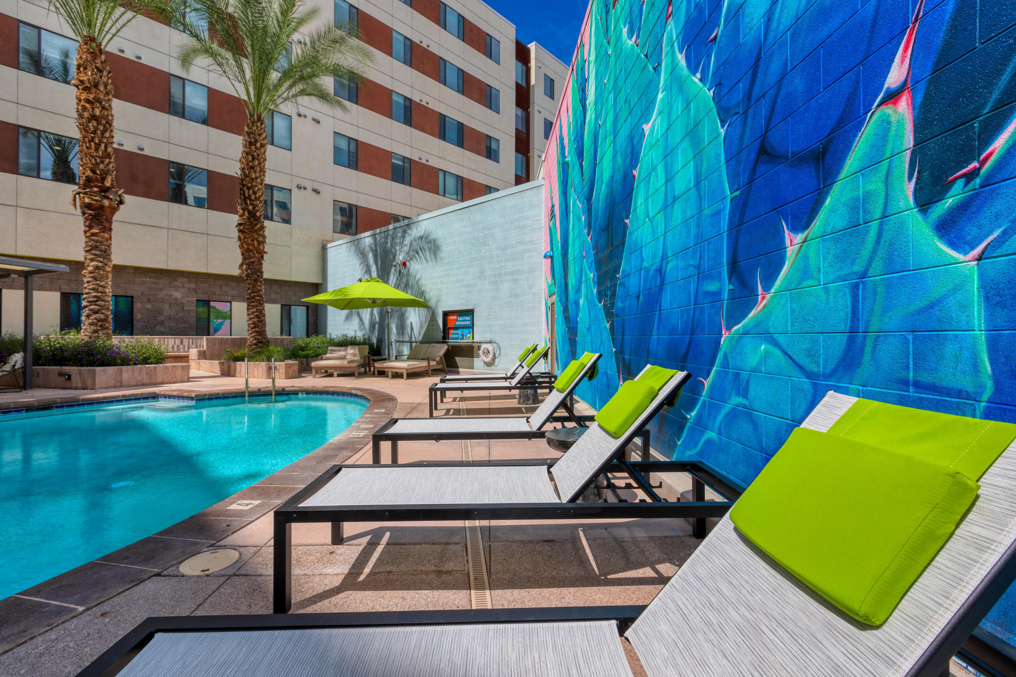 Agave 350 – photo 4