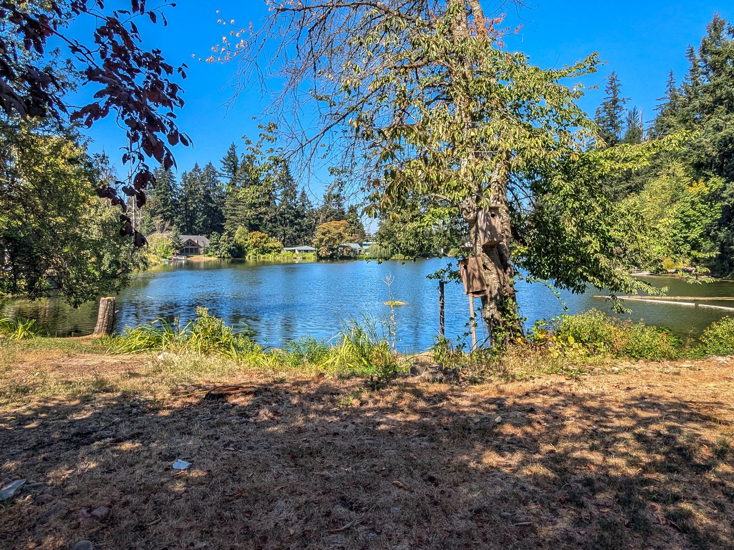 Single Level Home In Aumsville ~ 8798 Holmquist Rd SE – photo 2