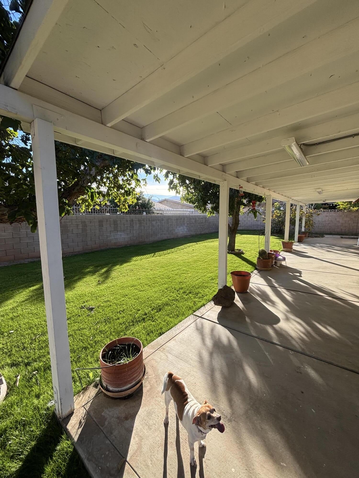 69145 Baristo Road – photo 2