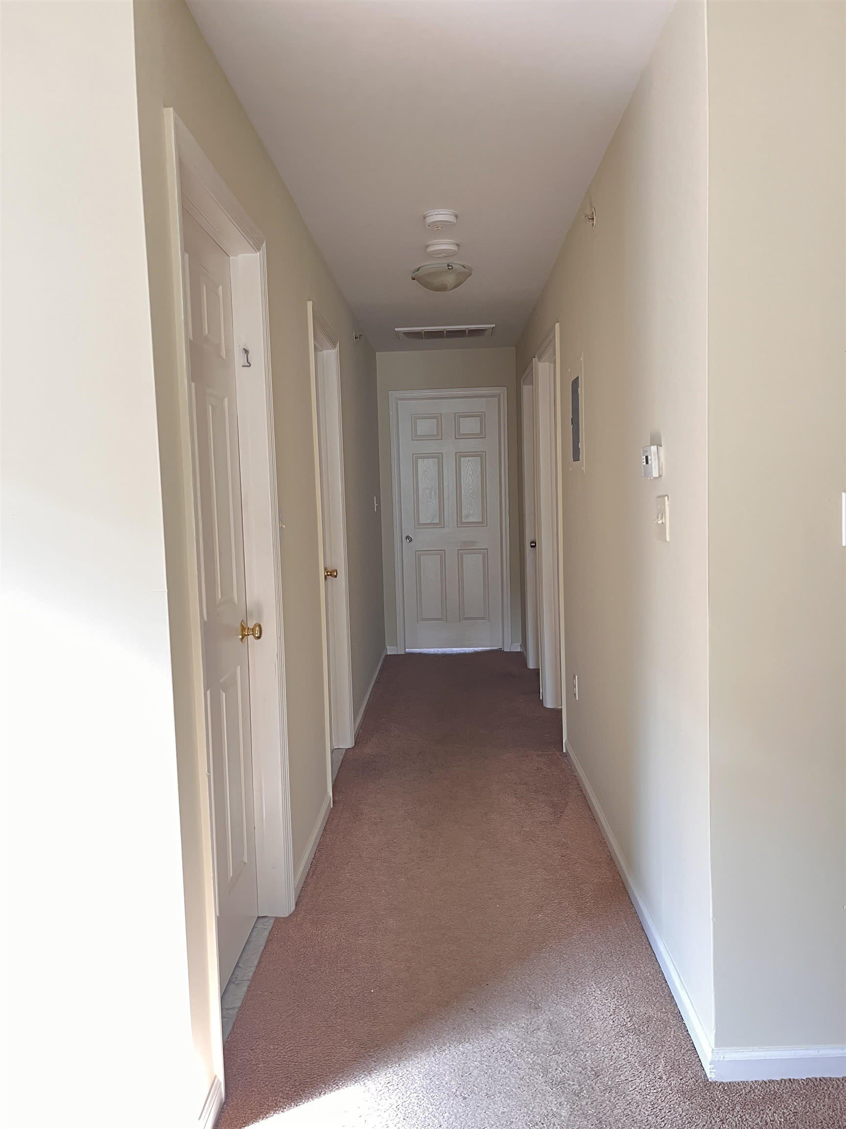 19 HALLECK ST – photo 4