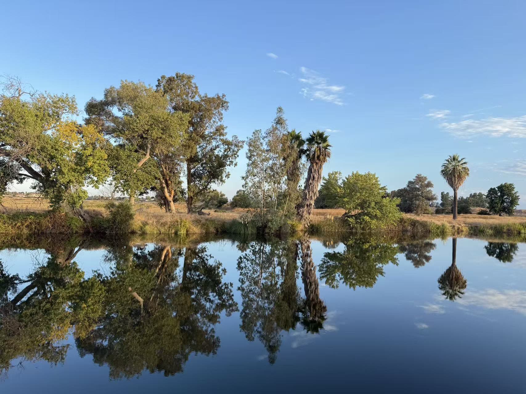 4790 Discovery Point – photo 1